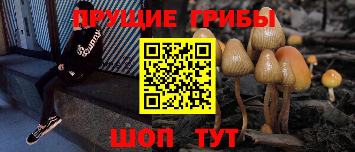 Дивногорск  Галлюциногенные грибы ЛСД  Вход с VPN 